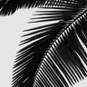 Quadro Palm Trees - Obrah | Quadros e Posters para Transformar a Parede