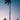 Quadro Palm Tree At Sunset - Obrah | Quadros e Posters para Transformar a Parede