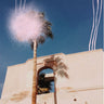 Quadro Palm Tree in Morocco - Obrah | Quadros e Posters para Transformar a Parede