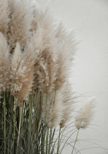 Quadro Pampas Grass Cloudy Heaven - Obrah | Quadros e Posters para Transformar a Parede