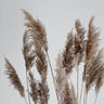 Quadro Pampas Reed in the Wind - Obrah | Quadros e Posters para Transformar a Parede