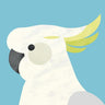 Quadro Parrot - Obrah | Quadros e Posters para Transformar a Parede