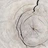 Quadro Pattern Wood #2 By 1x Studio III - Obrah | Quadros e Posters para Transformar a Parede