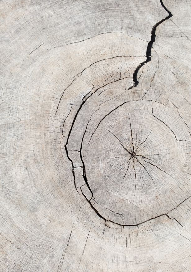 Quadro Pattern Wood #2 By 1x Studio III | Obrah