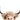 Quadro Peeking Cow 2 - Obrah | Quadros e Posters para Transformar a Parede