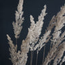 Quadro Perfect Pampas in the Dark - Obrah | Quadros e Posters para Transformar a Parede