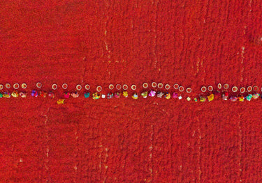Quadro Pickers Line Up To Sort Chillis By Azim Khan Ronnie - Obrah | Quadros e Posters para Transformar a Parede