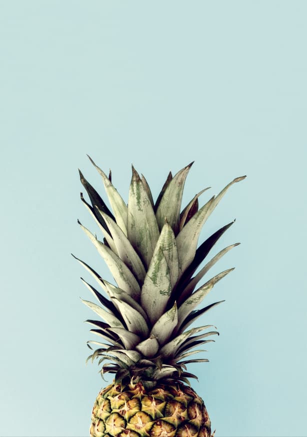 Quadro Pineapple - Obrah | Quadros e Posters para Transformar a Parede