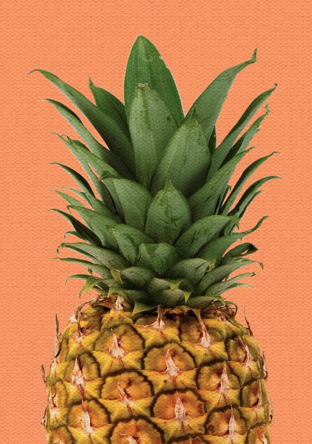 Quadro Pineapple Fun - Obrah | Quadros e Posters para Transformar a Parede