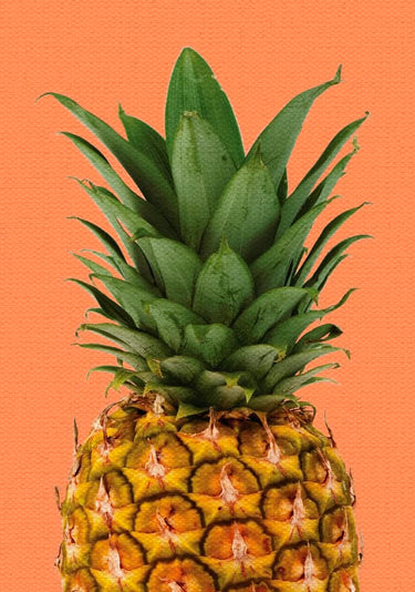 Quadro Pineapple Fun - Obrah | Quadros e Posters para Transformar a Parede