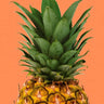Quadro Pineapple Fun - Obrah | Quadros e Posters para Transformar a Parede