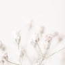 Quadro Pink Small Flowers By 1x Studio III - Obrah | Quadros e Posters para Transformar a Parede