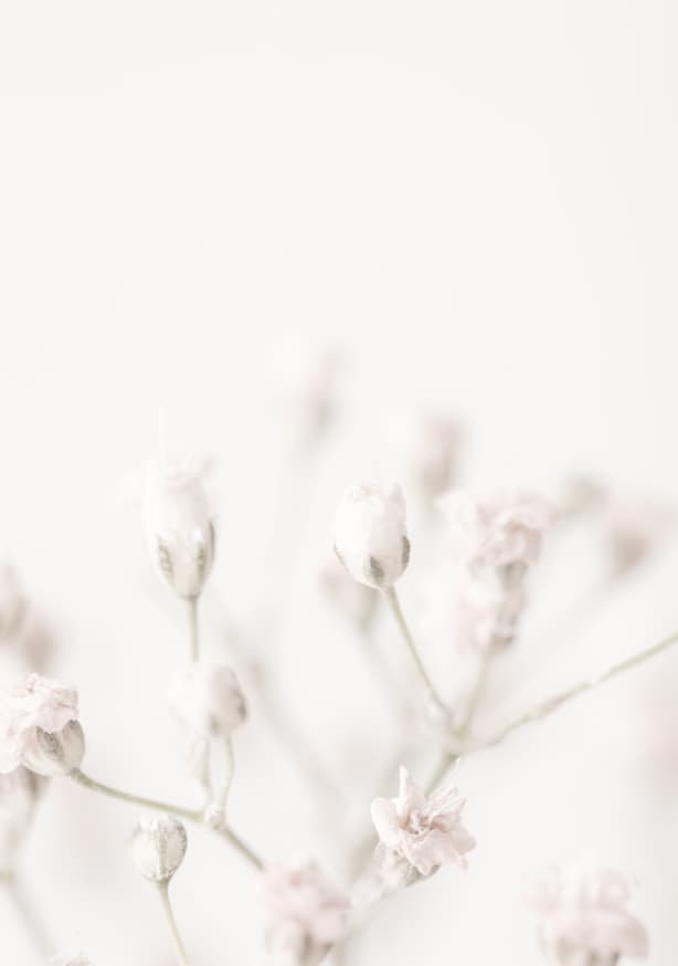 Quadro Pink Small Flowers By 1x Studio III - Obrah | Quadros e Posters para Transformar a Parede