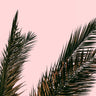 Quadro Pink View - Obrah | Quadros e Posters para Transformar a Parede