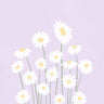 Quadro Purple Daisies - Obrah | Quadros e Posters para Transformar a Parede