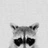 Quadro Raccoon 2 - Obrah | Quadros e Posters para Transformar a Parede