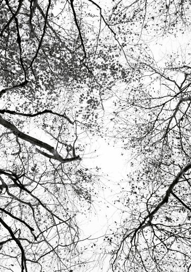 Quadro Reaching Into the Sky - Obrah | Quadros e Posters para Transformar a Parede