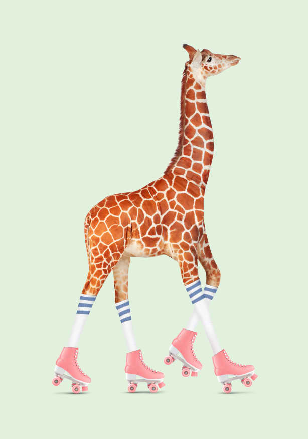 Quadro Rollerskating Giraffe - Obrah | Quadros e Posters para Transformar a Parede