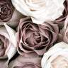 Quadro Roses By 1x Studio III - Obrah | Quadros e Posters para Transformar a Parede