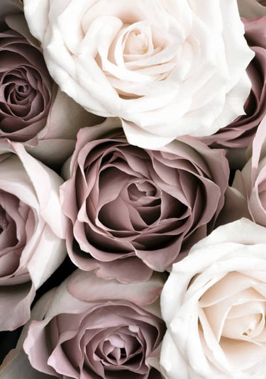 Quadro Roses By 1x Studio III - Obrah | Quadros e Posters para Transformar a Parede