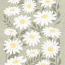 Quadro Sage Green Daisies - Obrah | Quadros e Posters para Transformar a Parede