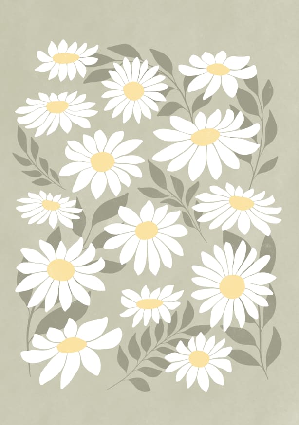 Quadro Sage Green Daisies - Obrah | Quadros e Posters para Transformar a Parede