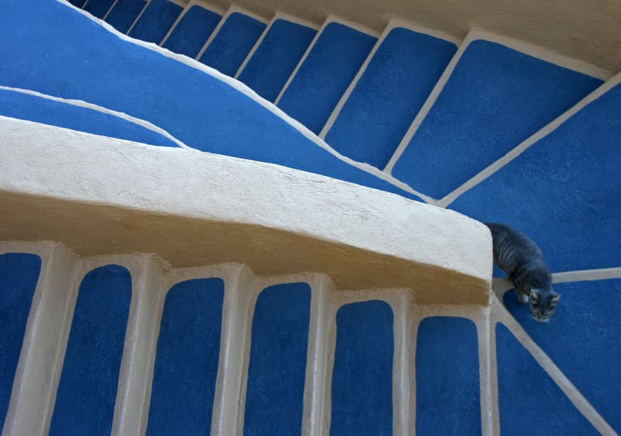 Quadro Santorini Cat By Hans Wolfgang Hawerkamp