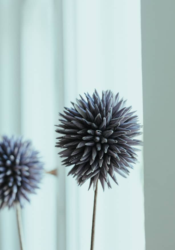 Quadro Abstract Flower Shape