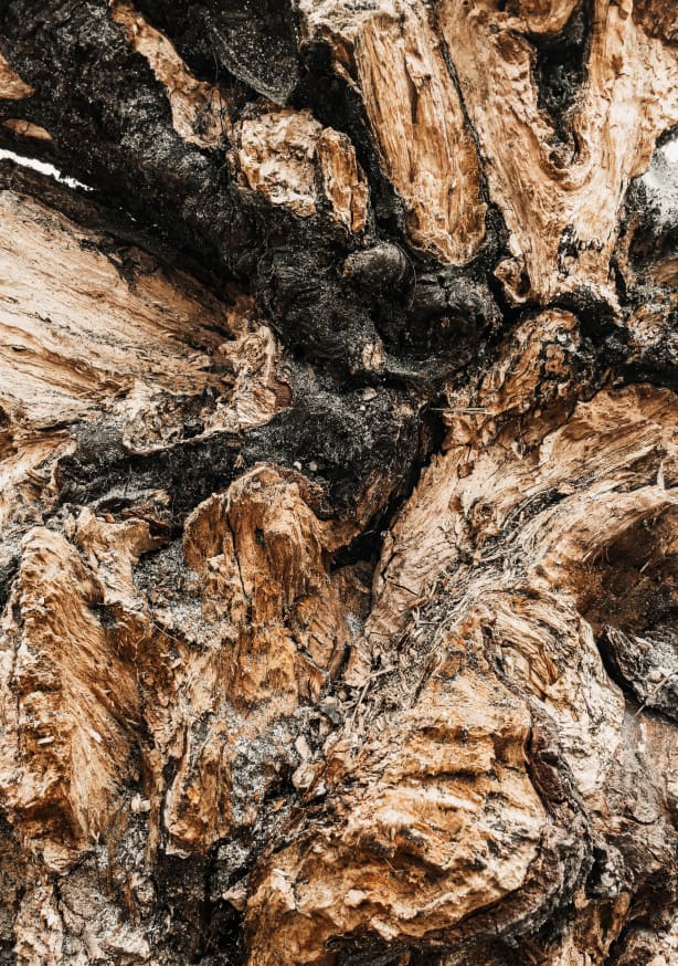 Quadro Artistic Wood Natural