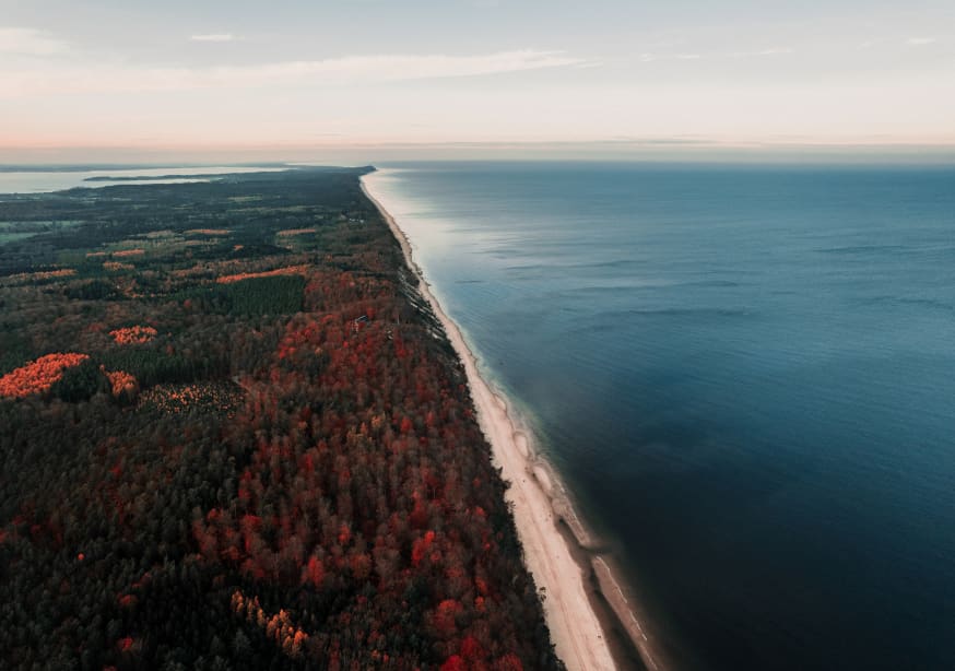 Quadro Baltic Coastline