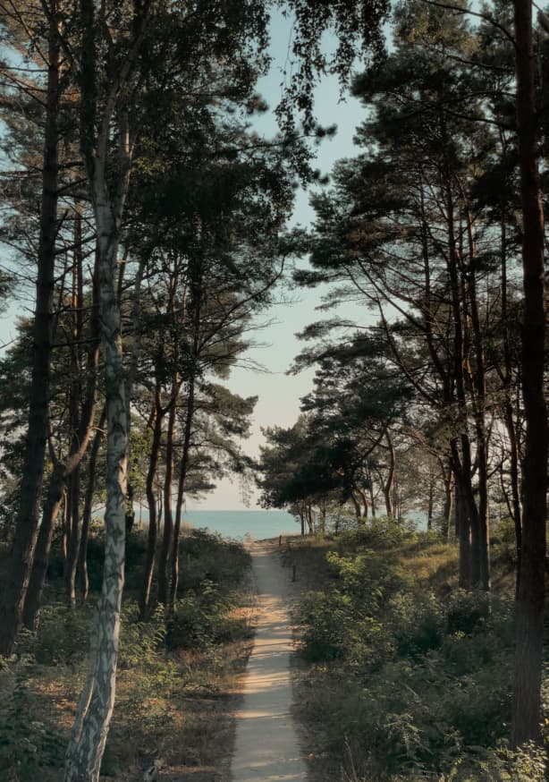 Quadro Beach Path