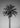 Quadro Black and White Palm Tree (1)