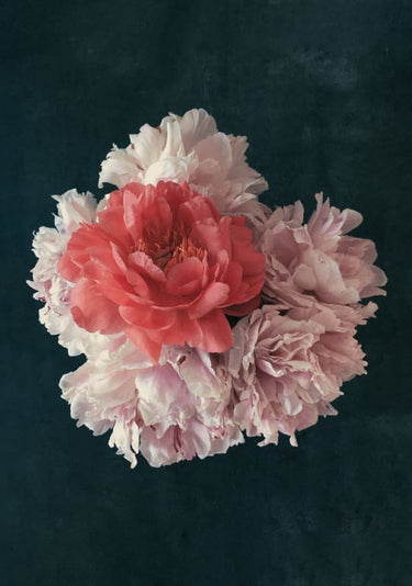 Quadro Floral Decorative Blossoms in a Bouquet of Flowers