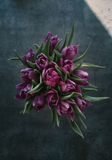 Quadro Floral Decorative Flower Bouquet of Tulips