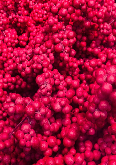 Quadro Fruity Pinkness