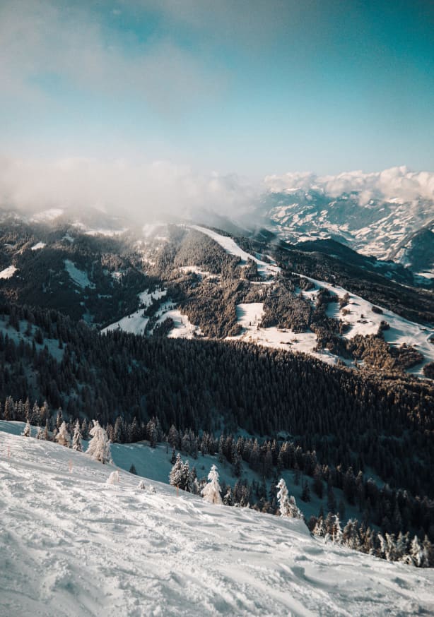 Quadro Mountains Austrian Love