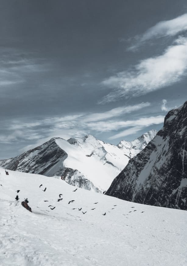 Quadro Mountains XVI