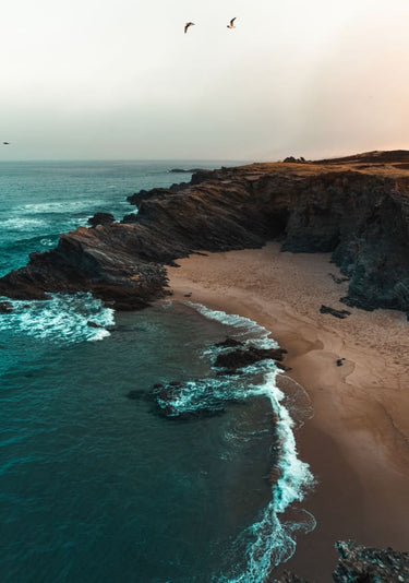 Quadro Portuguese Beach Coast with Birds