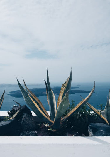 Quadro Santorini