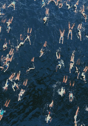 Quadro Swimming