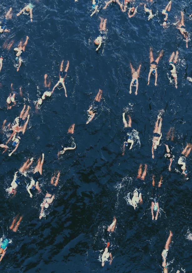 Quadro Swimming