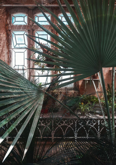 Quadro The Tropical Glasshouse II