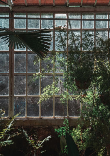 Quadro The Tropical Glasshouse I
