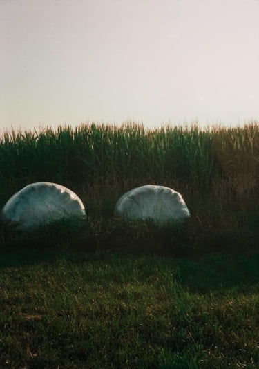 Quadro Analog Series Fields at Sundown