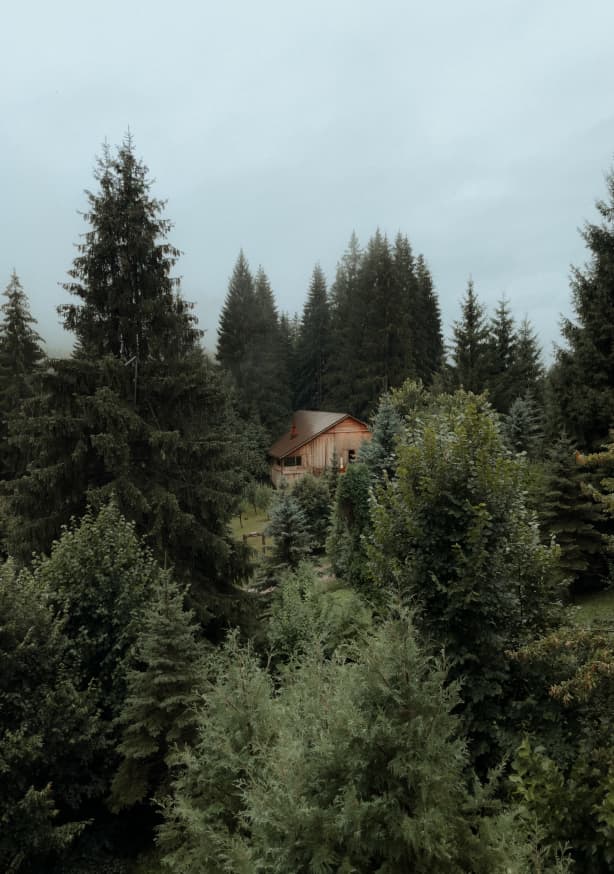 Quadro Cabin in the Woods