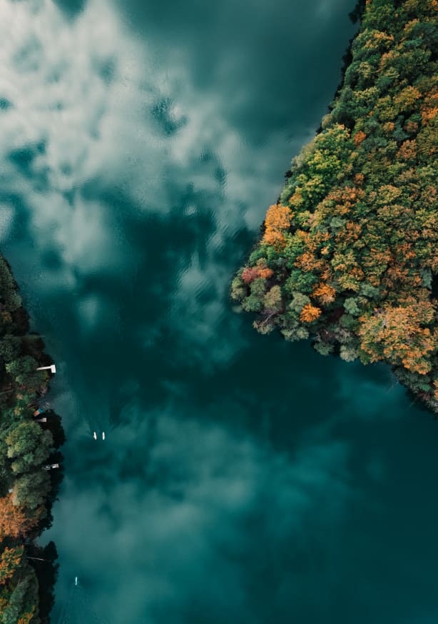 Quadro Forest and Water