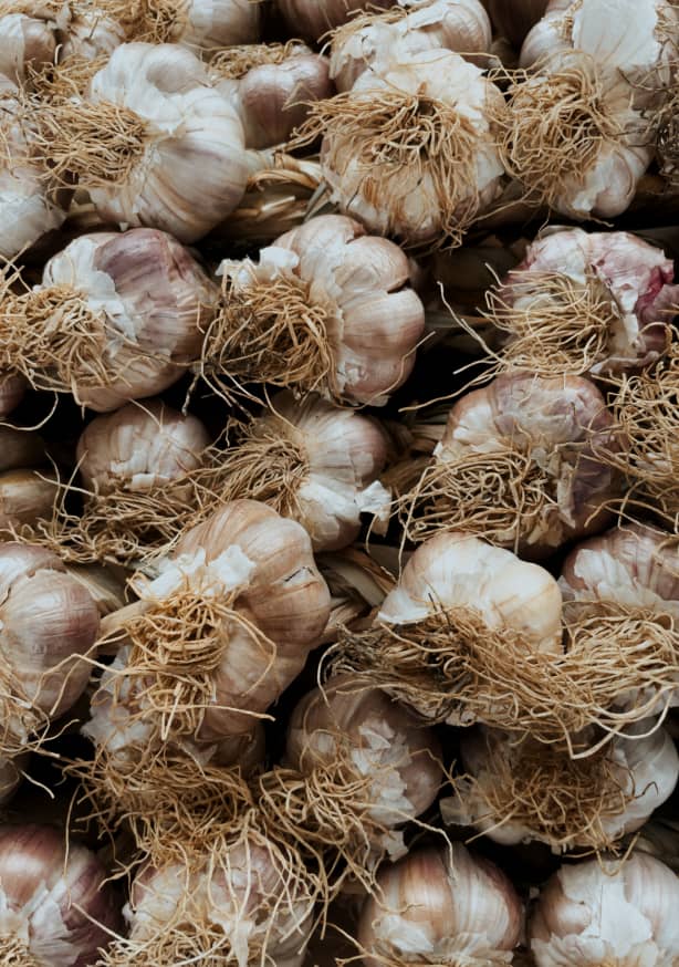 Quadro Garlic Love