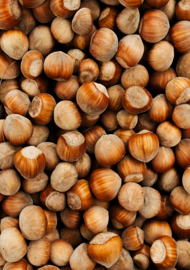 Quadro Hazelnuts