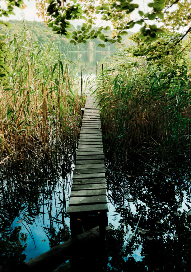 Quadro Idyllic Lakeview