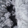Quadro Black River Through the Snowy Winter Forest - Obrah | Quadros e Posters para Transformar a Parede